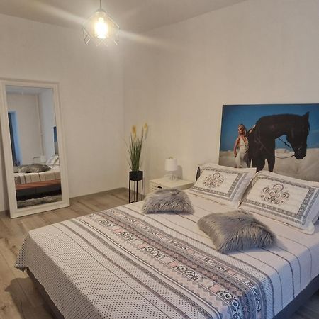 Apartament De Lux Craiova Dış mekan fotoğraf
